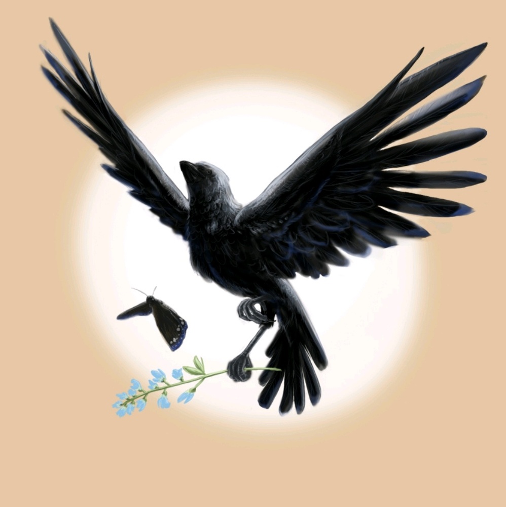 Meet your Posher, Spammity